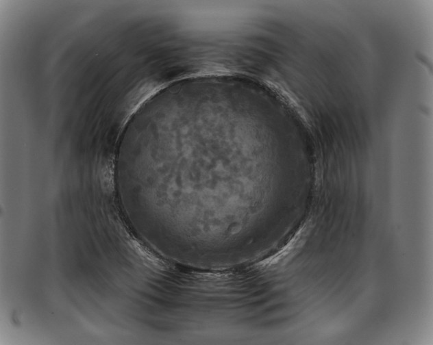 X0000097601409200802291232
