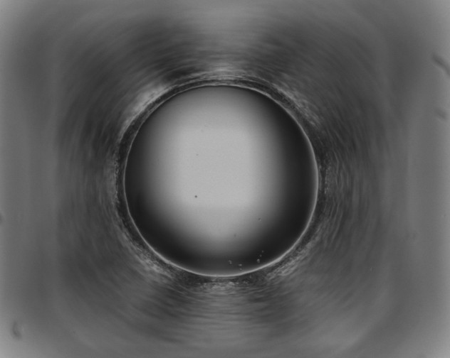 X0000097601410200802291232