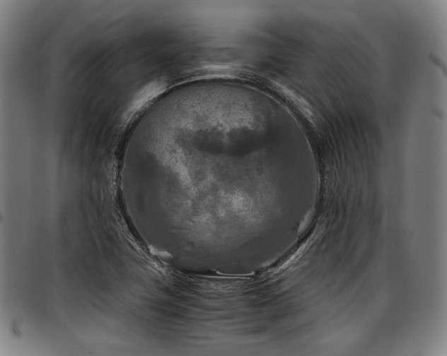 X0000097601411200802291232