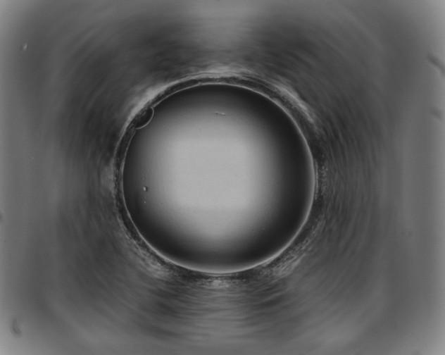 X0000097601412200802291232