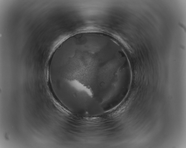 X0000097601413200802291232
