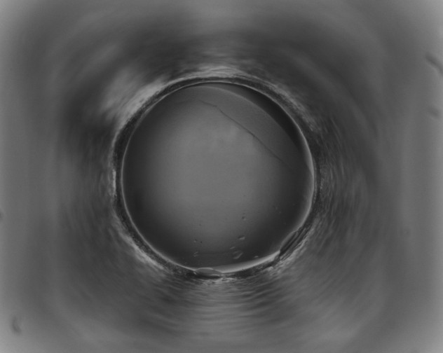 X0000097601414200802291232