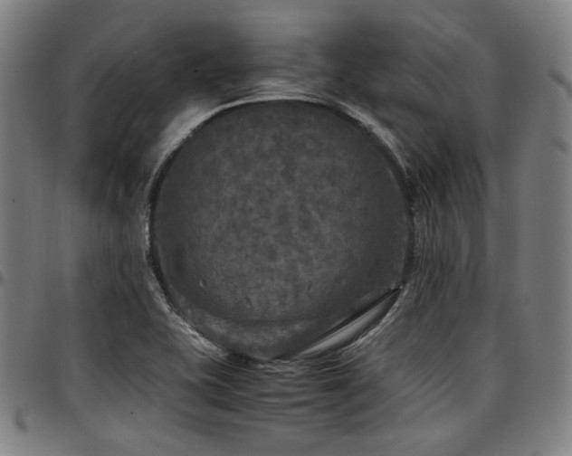 X0000097601415200802291232