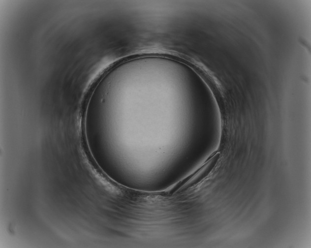 X0000097601416200802291232