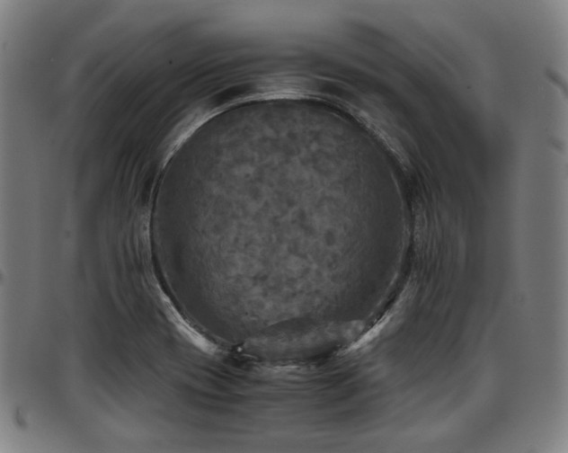 X0000097601417200802291232