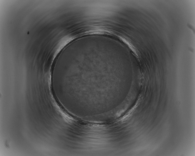 X0000097601418200802291232