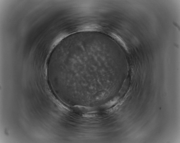 X0000097601419200802291232
