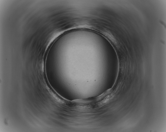 X0000097601420200802291232