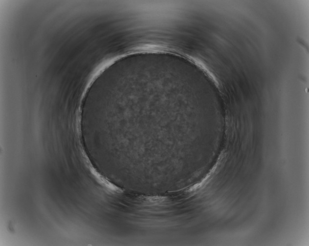 X0000097601421200802291232