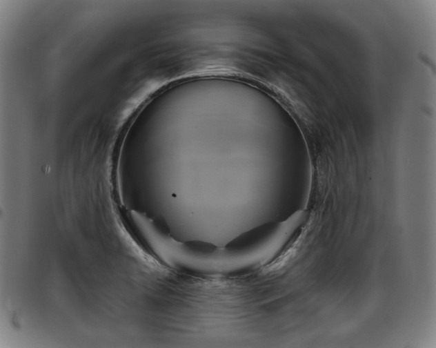 X0000097601422200802291232