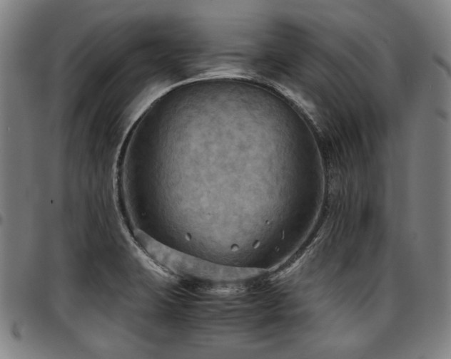 X0000097601423200802291232