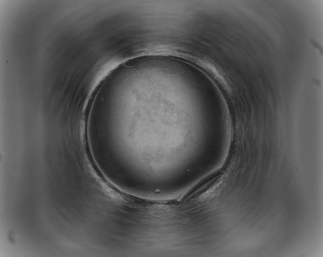X0000097601424200802291232