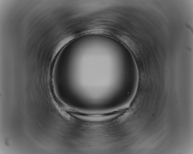 X0000097601426200802291232