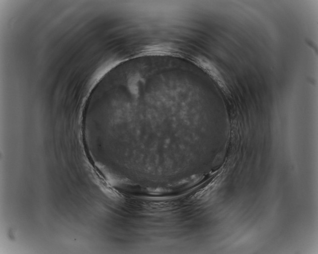 X0000097601427200802291232