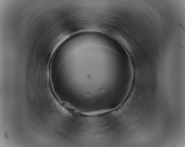 X0000097601428200802291232