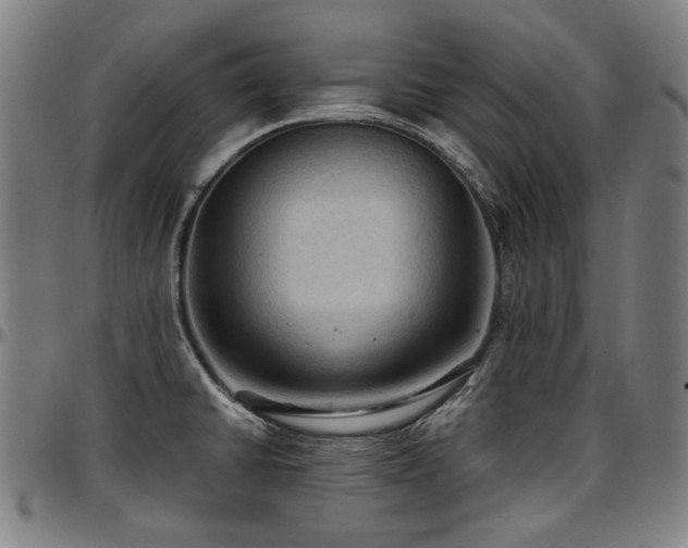 X0000097601430200802291232