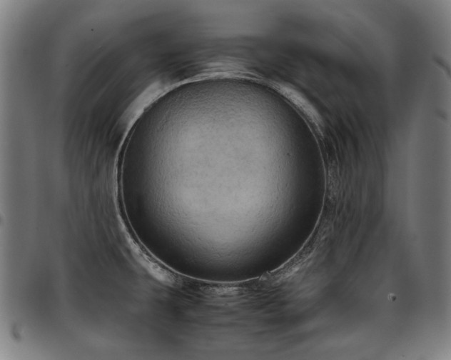 X0000097601431200802291232