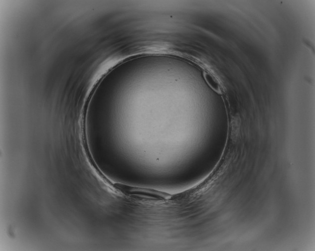 X0000097601432200802291232