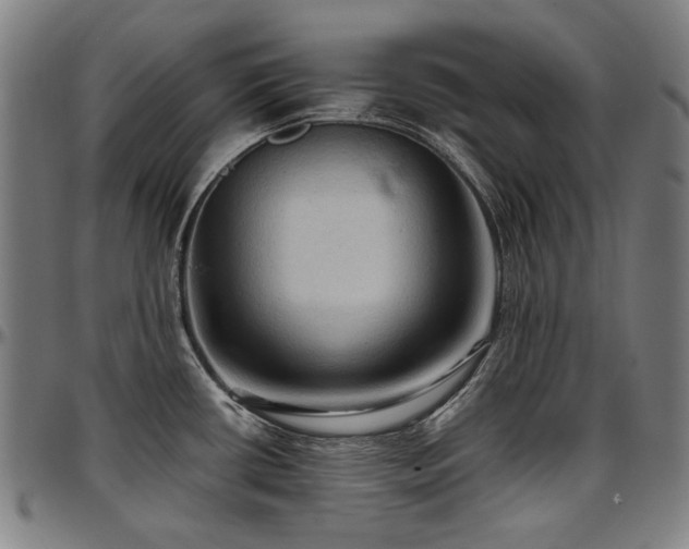 X0000097601434200802291232