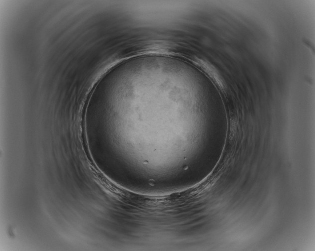 X0000097601435200802291233