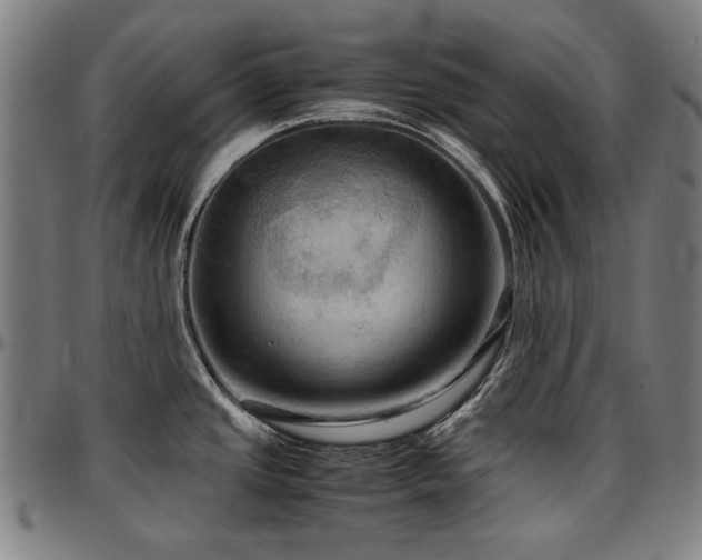 X0000097601437200802291233