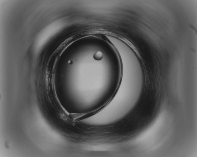 X0000097601438200802291233
