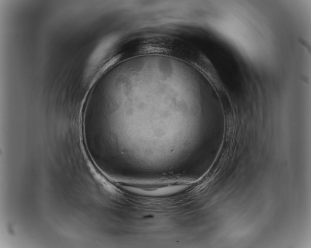 X0000097601439200802291233