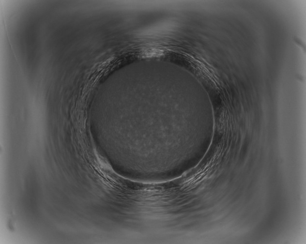 X0000097601441200802291232