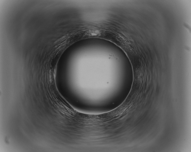 X0000097601442200802291232