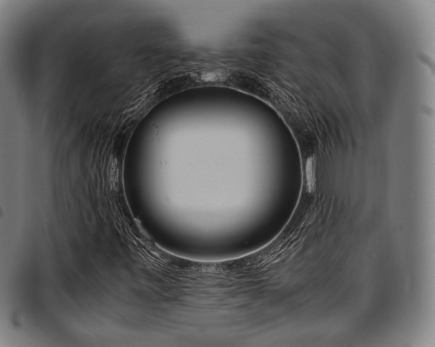 X0000097601443200802291232