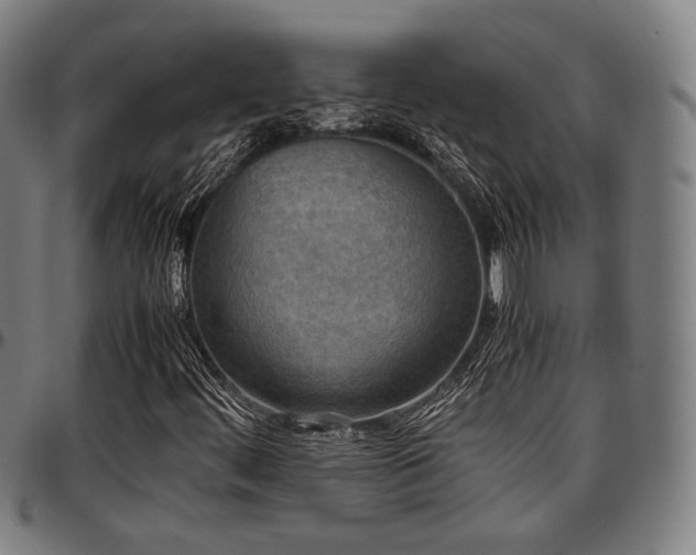X0000097601444200802291232