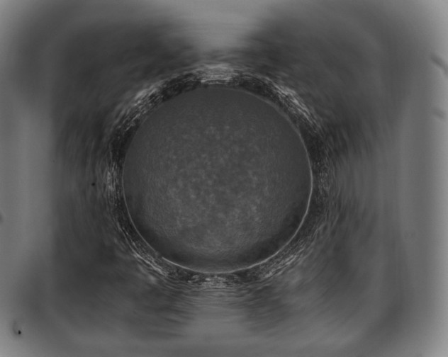 X0000097601445200802291232