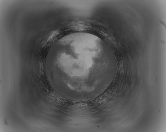 X0000097601446200802291232