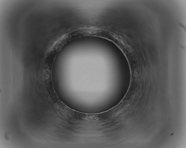 X0000097601447200802291232