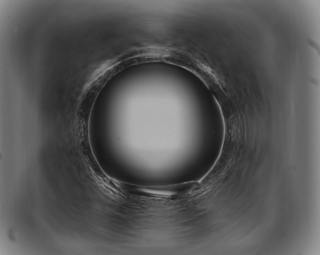 X0000097601448200802291232
