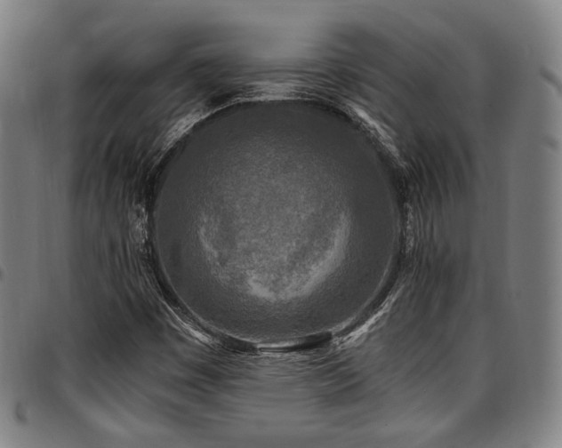 X0000097601449200802291232