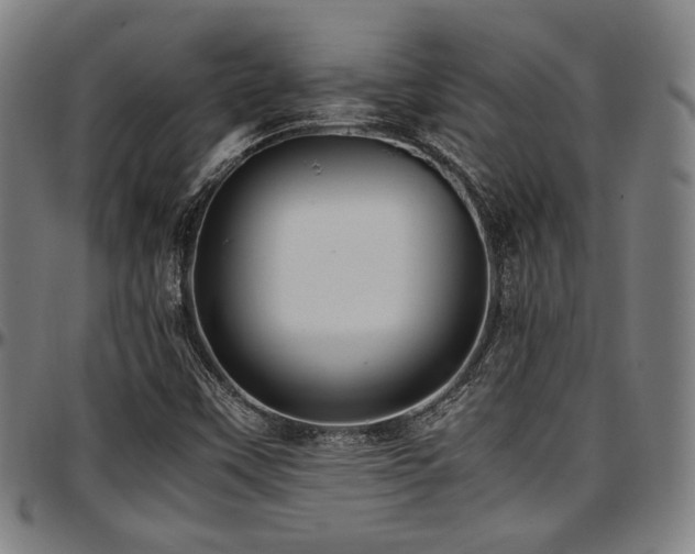 X0000097601451200802291232