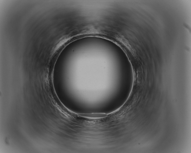 X0000097601452200802291232