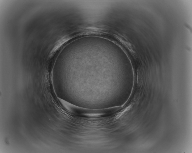 X0000097601453200802291232