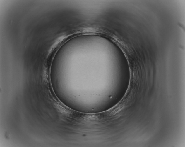 X0000097601454200802291232