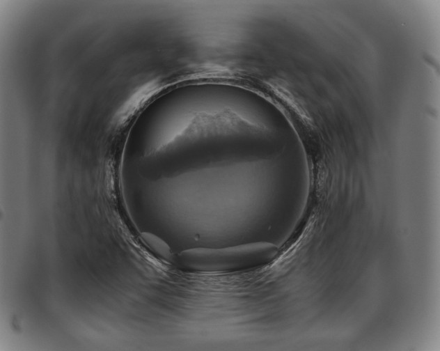 X0000097601455200802291232