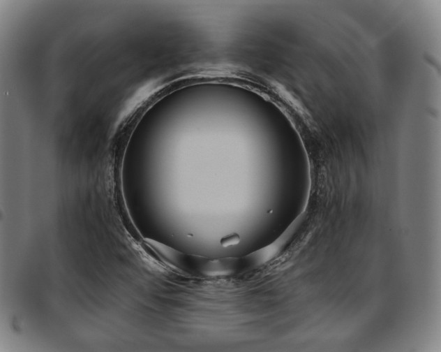 X0000097601456200802291231