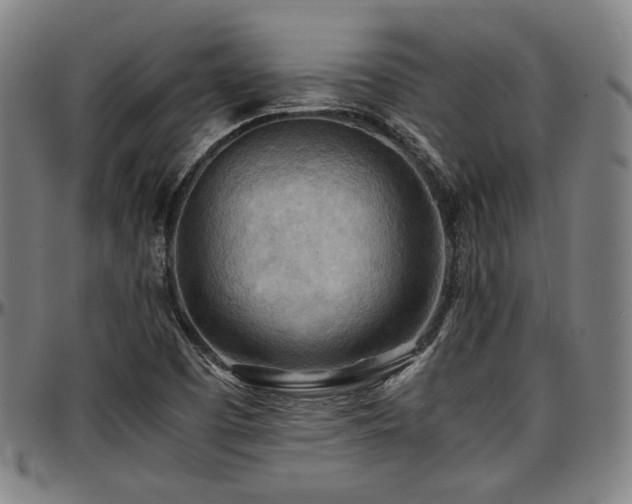 X0000097601457200802291231
