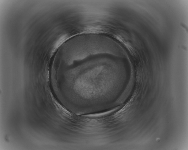 X0000097601459200802291231
