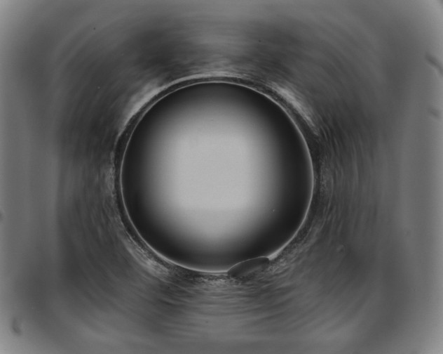 X0000097601460200802291231