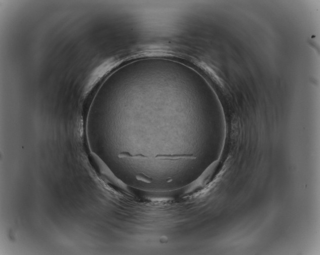 X0000097601461200802291231