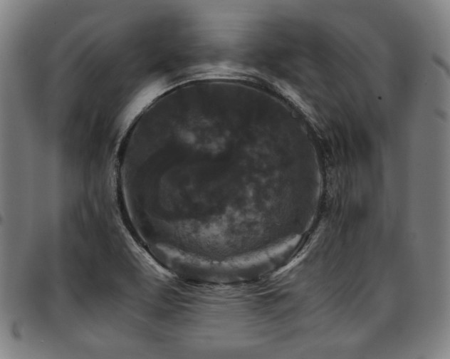 X0000097601463200802291231
