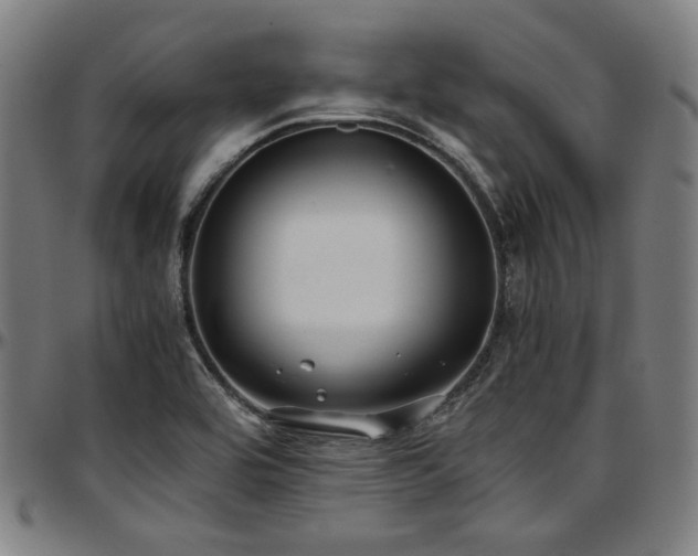 X0000097601464200802291231