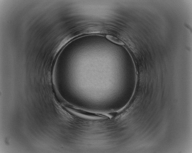 X0000097601465200802291231