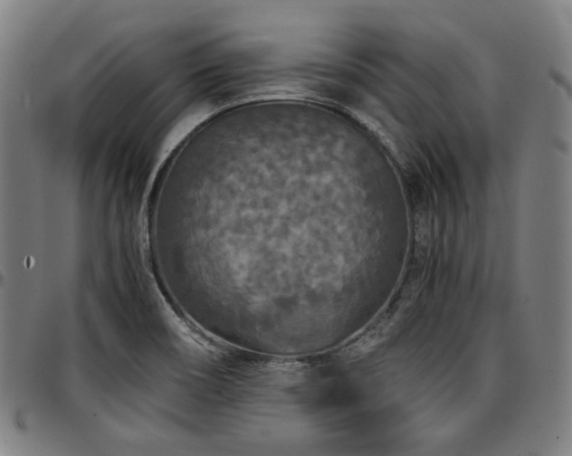 X0000097601466200802291231